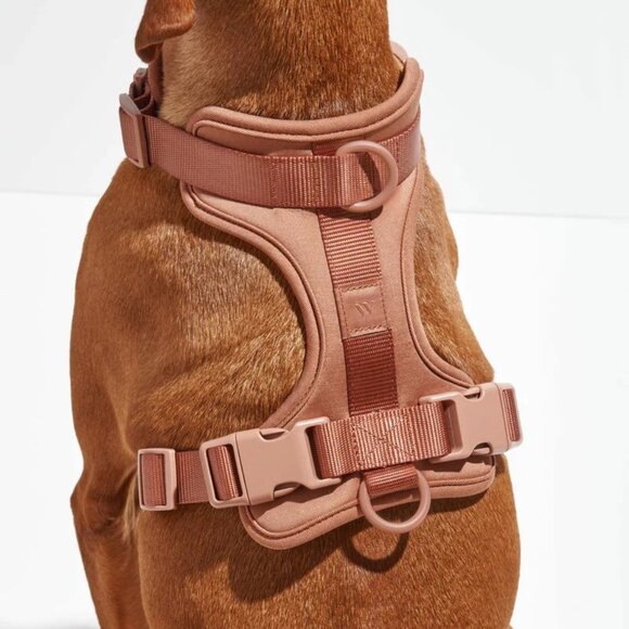 Wild One Harness in Cocoa/Light Brown (Size S) + Free Waterproof Biothane Leash - Picture 4 of 13